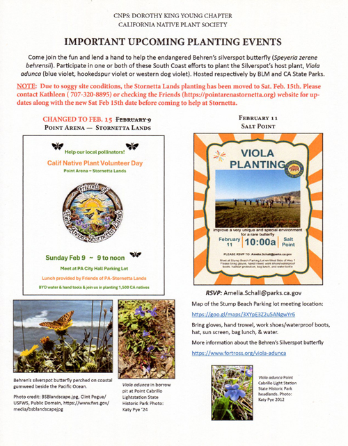 Udated Feb 2025 Vilola adunca Planting event poster